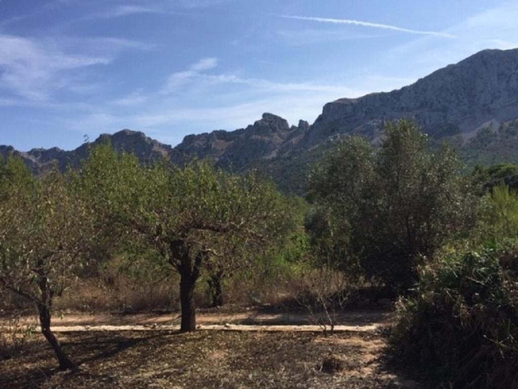 One Bed Apartment Overlooking Jalon Valley, Costa Blanca Alcalalí Exterior foto