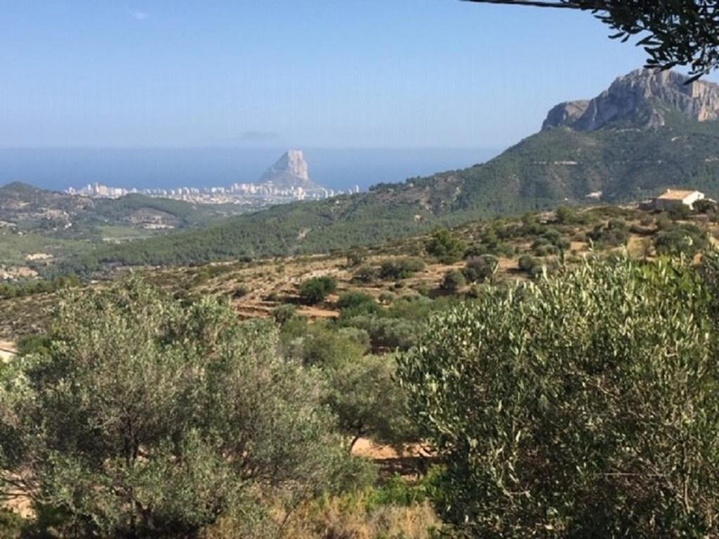 One Bed Apartment Overlooking Jalon Valley, Costa Blanca Alcalalí Exterior foto
